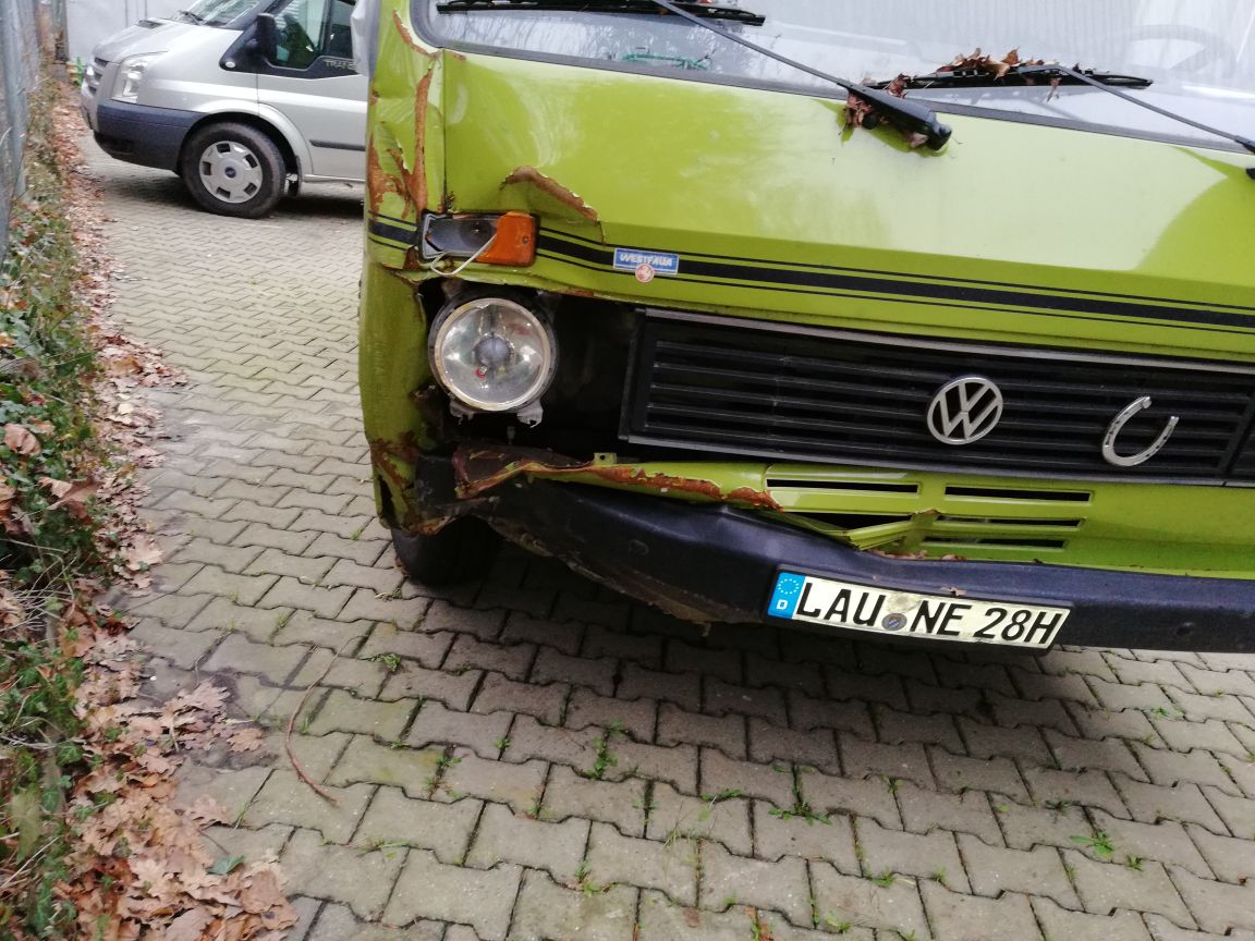 Frosch 1