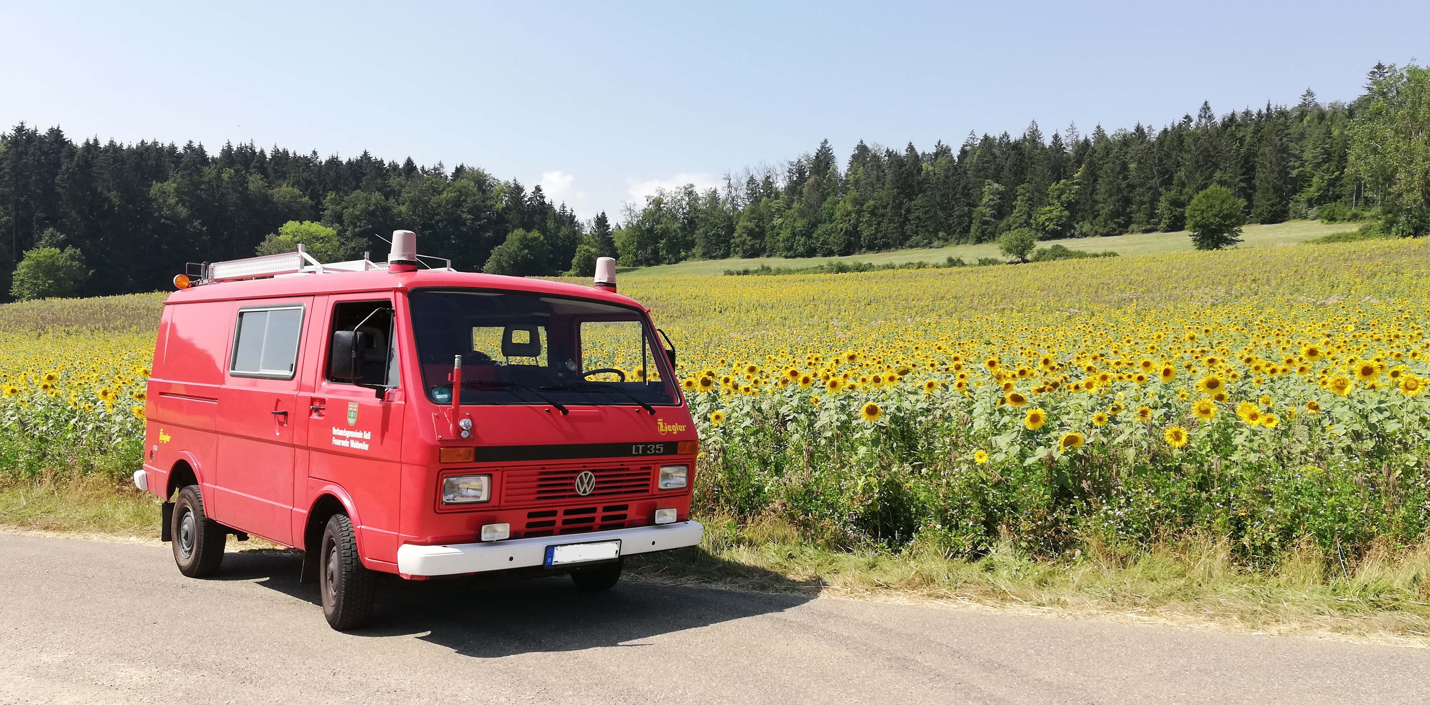 LT35 vor Sonnenblumenfeld