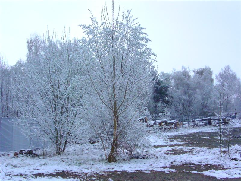 Ostern2012