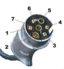 stecker