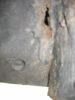 Rost3