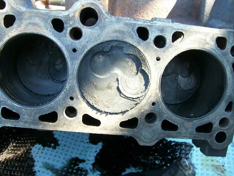 LTpit